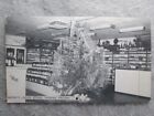 Vintage Barney's Liquor Stores, Christmas Tree, Phoenix, Arizona Postcard