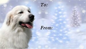 Pyrenean Mountain Dog Christmas Labels by Starprint