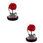 2 Pieces Christmas Gifts Eternal Rose Romantic Preserved Flower