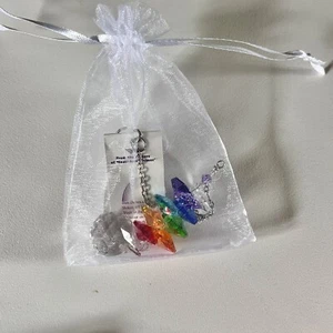 Woodstock Chimes Rainbow Maker Cascades Octagon SWAROVSKI LGBTQ New With Box - Picture 1 of 8