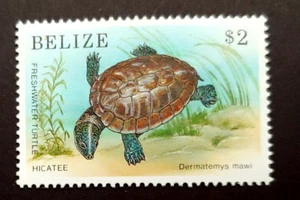 EARLY TURTLE $2 VF MNH WILDLIFE BELIZE K1 - Picture 1 of 2