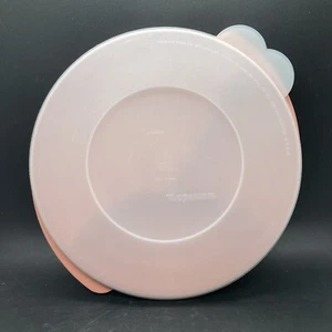 Tupperware 26048-1 Divided Dish Rose Pink Snack Lunch Microwave Reheatable Round - Picture 1 of 11