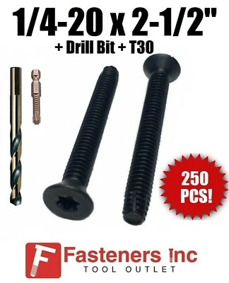 BRIGHTON (Qty 250)1/4-20 x 2 1/2"Torx Trailer Flooring Floorboard Screws + DRILL BIT+T30