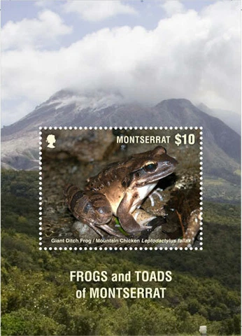 Montserrat 2018 - Frogs and Toads of Montserrat - Souvenir Sheet - Sc 1405 - MNH Cover