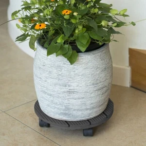 Nature Plant Trolley Round Ø30 cm Anthracite Wood - Picture 1 of 4