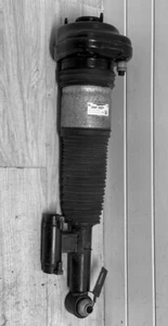 Air Stoßdämpfer hinten rechts BMW F308617102 13981113 7668745 - Imagen 1 de 1