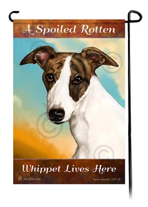 A Spoiled Rotten Dark Brindle and White Whippet Lives Here - Imagen 1 de 1