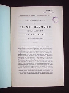 Sur le développement de la glande mammaire pendant la gestation et sa cause - Imagen 1 de 1