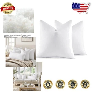 Elegant 22x22 White Pillow Inserts, Set of 2 – Soft Fluffy Down for Home Decor - Picture 1 of 10