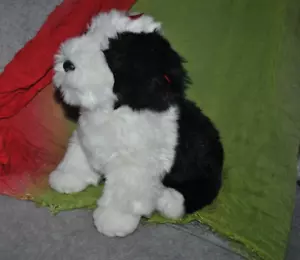 Vintage TY 2002 BABY BEANIE BUDDY ~ POOFIE THE ENGLISH SHEEP HUND Welpe SCHWARZ WEISS - Bild 1 von 3
