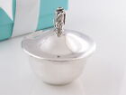 Tiffany & Co Silver Nature Rose Flower Pill Box Case Container Pouch Included