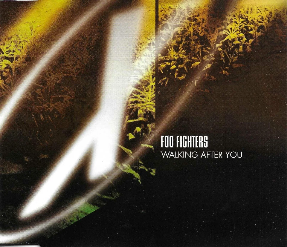 FOO FIGHTERS & WEEN Walking & beacon LIMITED X FILES CD single SEALED USA Seller - Imagem 1 de 1