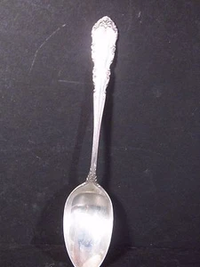 Sterling Wallace SHENANDOAH TEASPOON 6" No Monogram - Picture 1 of 3
