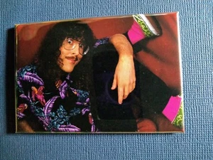 Weird Al Yankovic 2 of 2 - Refrigerator / Fridge / Locker Magnet 2 x 3 inch - Picture 1 of 1