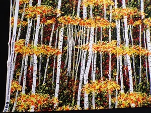 34" Harvest for Exclusively Quilters Fall Autumn Trees Leaves Woods Nature - Picture 1 of 1