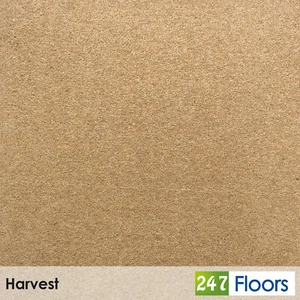 Harvest Riverside Twist Carpet 80/20 Wool Mix Actionback Hardwearing Lounge - Picture 1 of 3