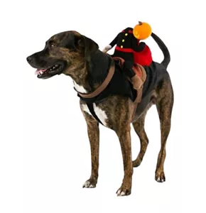 Neu mit Etikett Haustier Hund Halloween Kostüm kopfloser Reiter Kürbisreiten Größe L/XL - Bild 1 von 6