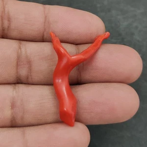 Italian Red Coral Polished Rough 100% Natural Coral Undyed Branch Loose Gemstone - Picture 1 of 10