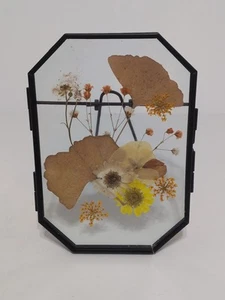 Table Top Décor Black Double Glass Framed Pressed Flowers Handmade New - Picture 1 of 11