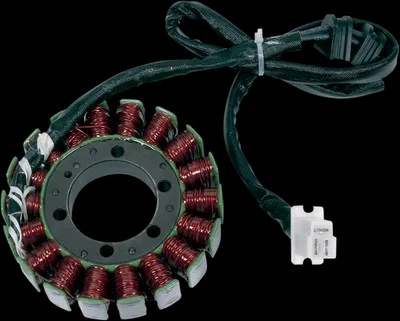 Generador Estator Alternador Rick's Honda CBR600SE 98 Foto 1 de 4