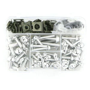 Kit completo de sujetadores de tuercas de tornillo de carenado ajuste universal para plata Triumph - Imagen 1 de 10