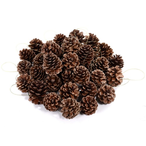 Pine Cones Decorations Pine Cones Bulk Christmas Tree Ornaments Large