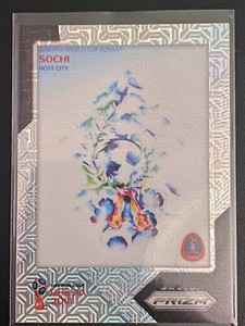 2018 - Panini - Prizm World Cup - Host Cities - Prizms Mojo Parallel 17/25 - Soc