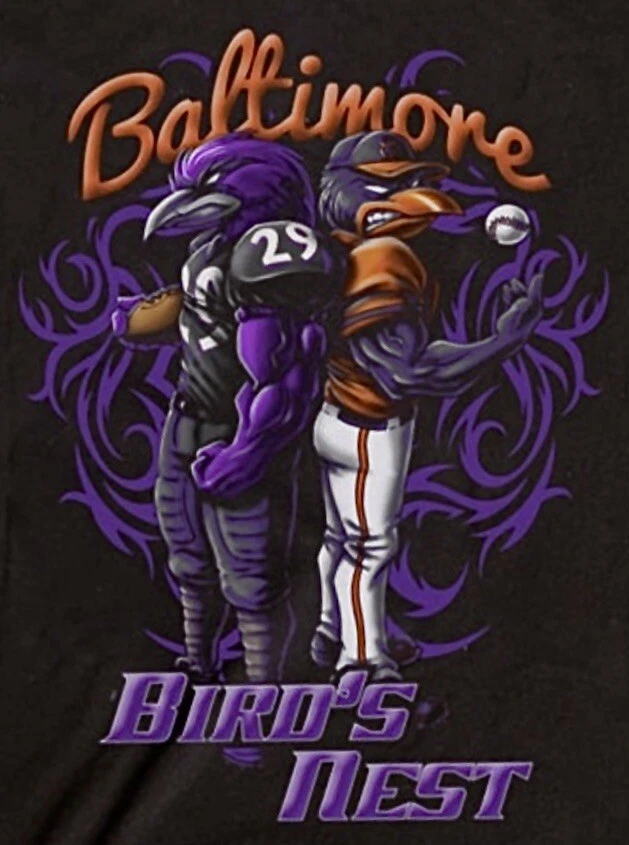 2 calcomanías de vinilo impermeables Baltimore Ravens Orioles para automóvil 5x3,75 Foto 1 de 1