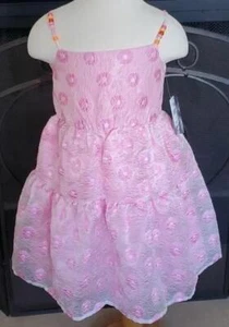 Girls Blueberi Blvd Pink Organza Dress Embossed Flowers Bead Size 4/5 10/12 NWT - Picture 1 of 1