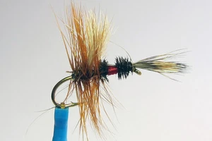 1 x Mouche Sèche WULFF ROYAL INVERSE H12/14/16 dry fly truite trout inversed - Photo 1/1