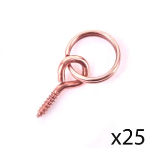 25x Picture EYE AND HOOK SCREWS Small 25mm Canvas Photo Framing Wire Hanging - Picture 1 of 4