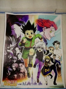 Hunter x Hunter 10x8 Running Key Visual Anime Print On Vinyl - Picture 1 of 6