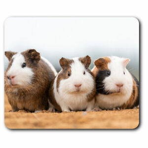 Computer Mouse Mat - Cute Guinea Pigs Pet Animal Office Gift #2326
