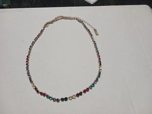 Rainbow Colored Adjustable Necklace By Steve Madden - Picture 1 of 8