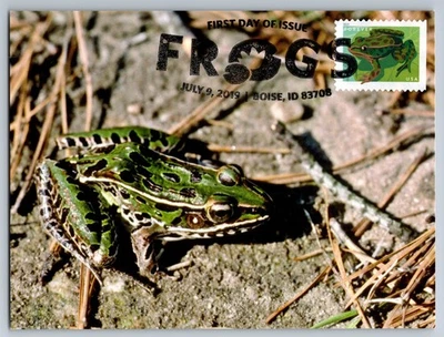 #5396 Northern Leopard Frog FDC Maxi Card w/Pictorial Cancel - Image 1 of 2