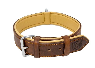 Riparo Genuine Leather Padded Dog Heavy Duty K-9 Adjustable Collar - Image 1 of 4