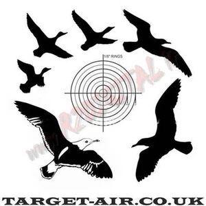 BERSAGLIO 14x14 TARGET-AIR UCCELL CARTONCINI 50Pz SAGOMA SOFTAIR AIRGUN PIOMBINI - Picture 1 of 1