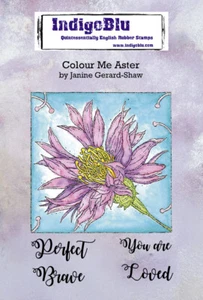 Nuevas estampillas adhesivas IndigoBlu color Me Aster - Imagen 1 de 3