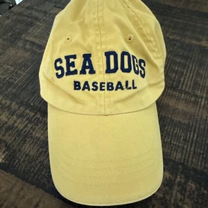 Boston Red Sox Minor League Sea dogs Baseball Hat - Picture 1 of 5