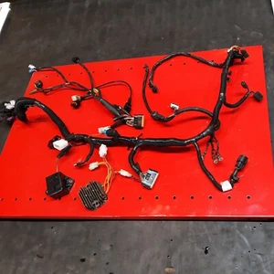 Polaris 600 Iq 2009 Cdi Regulator Harness plugs sensors ethanol resistor - Picture 1 of 8