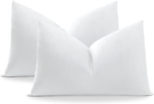 Pack of 2 down and Feather Throw Pillow Inserts, 12 X 20 Soft Fluffy Pillow Inse