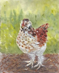8x10 Salmon Favrole Hen chicken   print  on linen card stock - Picture 1 of 1
