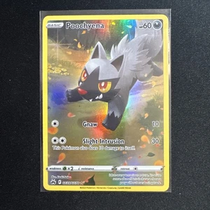 Poochyena GG33/GG70 Crown Zenith: Galarian Gallery Holo NM - Picture 1 of 2