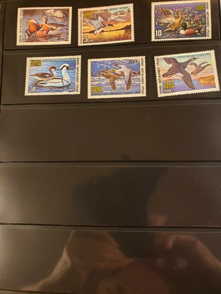 Lot of 6 Russian Duck Stamps RD01-RD06 - MNH, PO Fresh- 1989 -1994  - Image 1 of 1