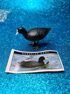 Yowies 🧸 EURASIAN COOT - with Papers 🧸 FAST POST - Picture 1 of 1