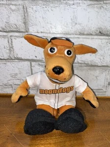 Mankato Moondogs peluche mascotte amatoriale baseball bambola Northwood League maglia cane - Foto 1 di 7