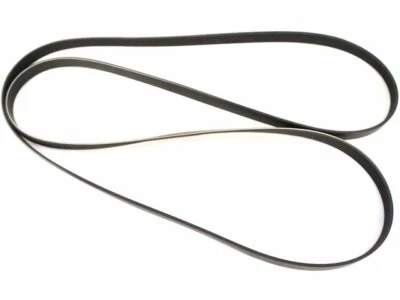 Cinturón multi costilla para Dodge Journey 2009-2020 Mopar 28415CW 2010 2011 2012 2013 Foto 1 de 2