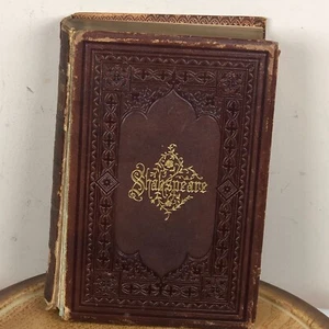 Shakespeare Biography 1882 By Charles Knight Vol I Illustrated - Picture 1 of 9