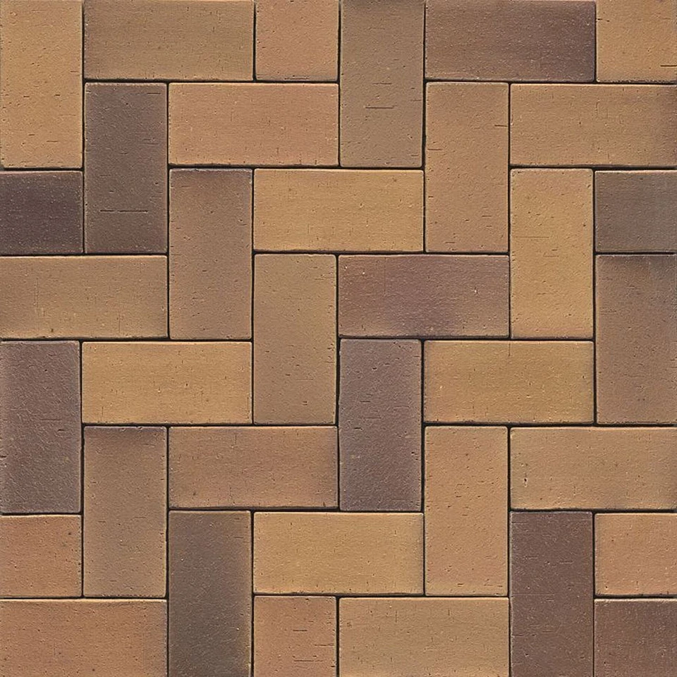 * NEU Pflasterklinker 1.Sorte"AUS TON GEBRANNT" LRS Lachsrot Spezca.20x10x6,5 cm - Bild 1 von 1