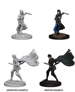 WizKids Pathfinder Deep Cuts™ - Elf Female Rogue miniatura da dipingere - Foto 1 di 1